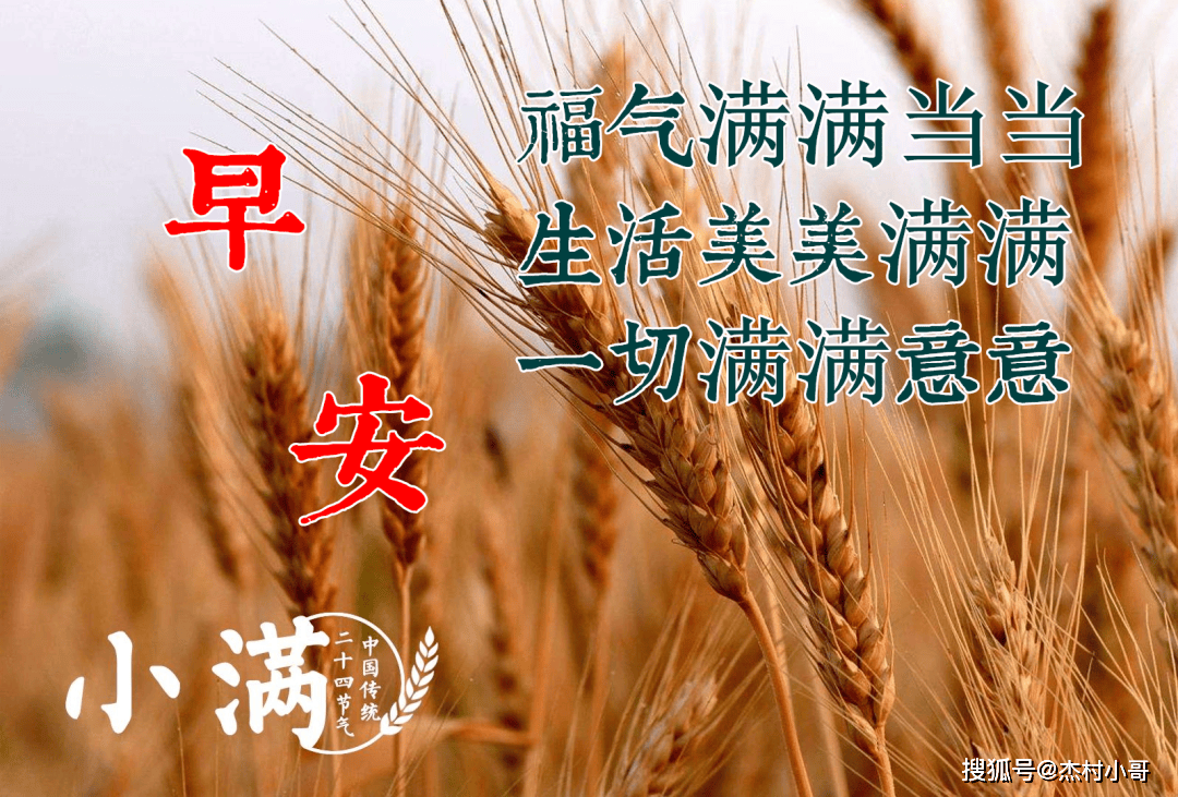 2024年5月20日小满早上好问候语,早安祝福语大全