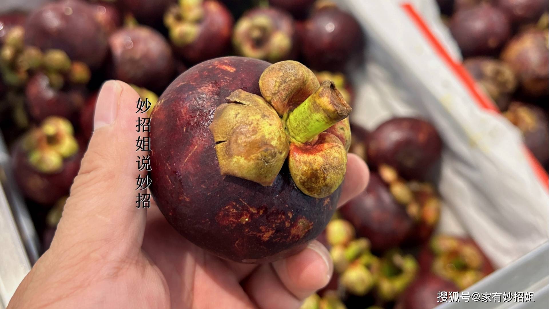 买山竹,软的好还是硬的好?老果农透露:注意这4点,一挑一个准