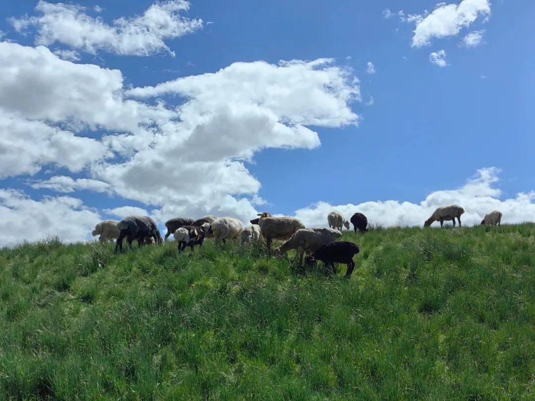 立刻出发!去和田县喀什塔什乡大草原邂逅心灵的牧场