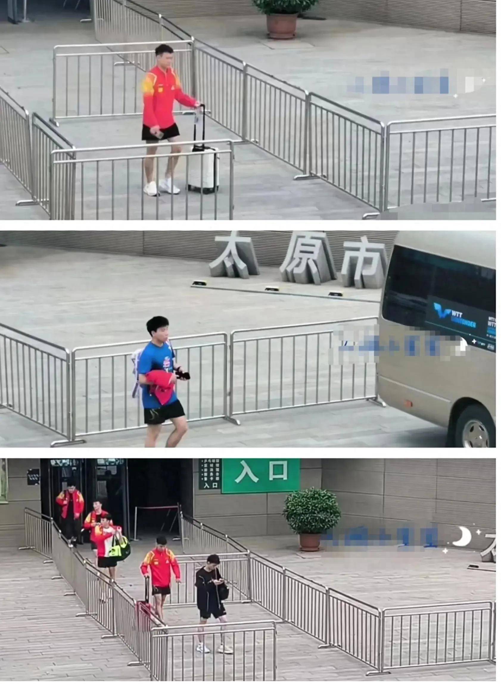 国乒今日新鲜事:莎莎清爽新发型,高远,小胖上训,柳丁现身太原