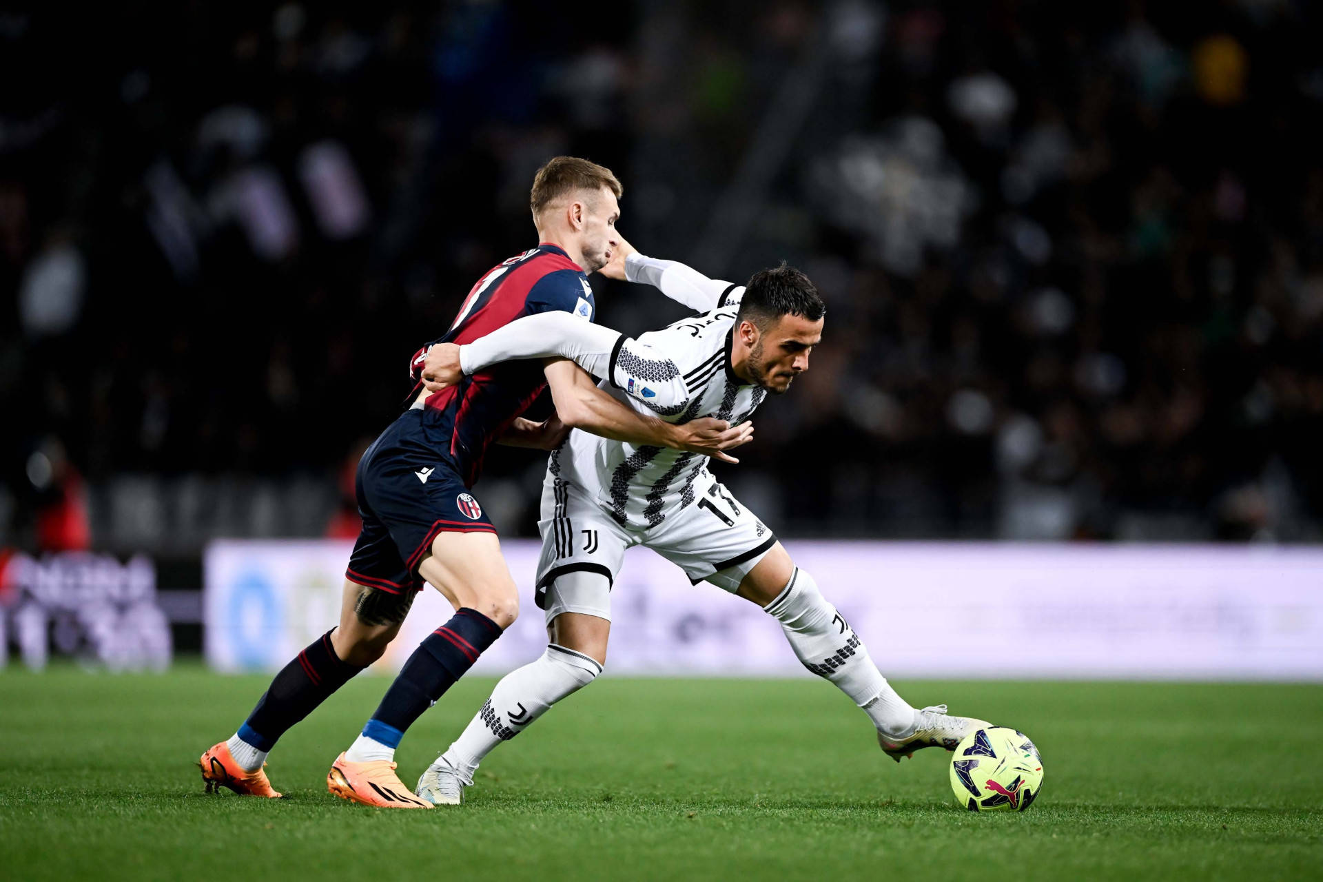 博洛尼亚主场迎战尤文图斯