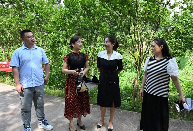 内江市东兴区:科学养蚕助增收