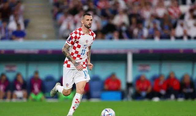 西奇_维达_萨利奇