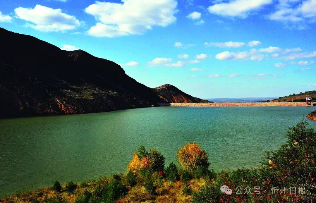 五寨,何以"中国甜糯玉米之乡" ?