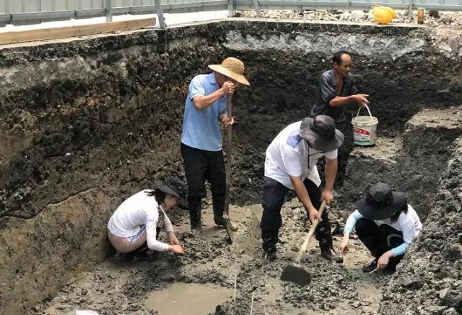 河床水位一夜骤降数百米,6条金龙重见天日