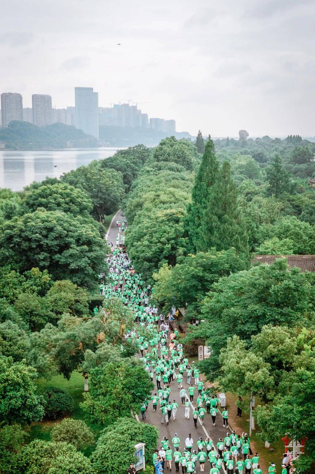 计划长沙橘子洲激情开跑 1000万基金助力公益事业_活动_绿之韵_湖南