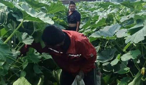 女子偷瓜被追赶意外落水身亡,家属找瓜农索赔13万,最后咋判的?