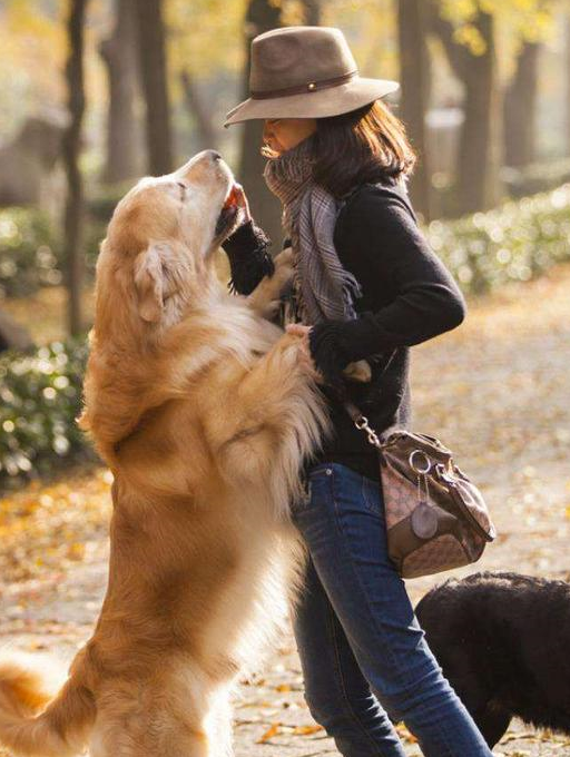 都会_老婆_孩子