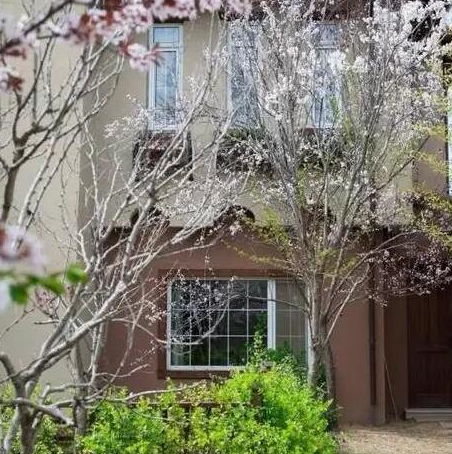 郎朗的豪宅内部装修:这种清雅轻奢风,一般人家里是做不到吧!