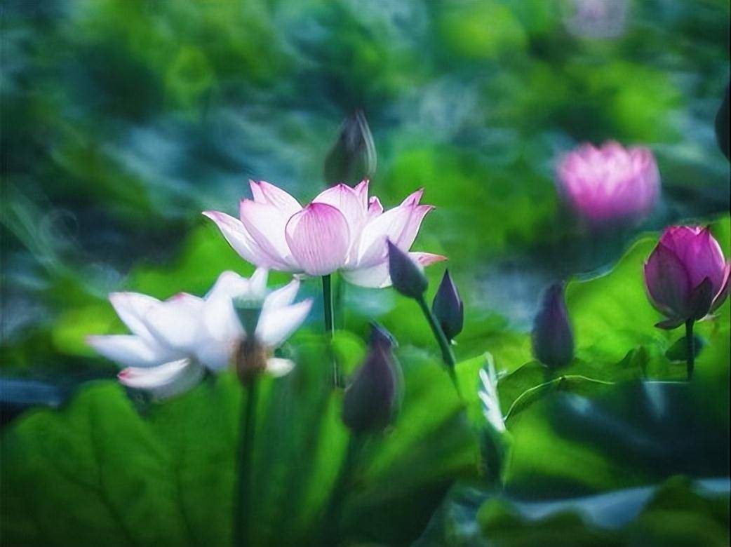 大智若愚的星座,很善于掌握主动权,有头脑,还能够隐忍,不简单