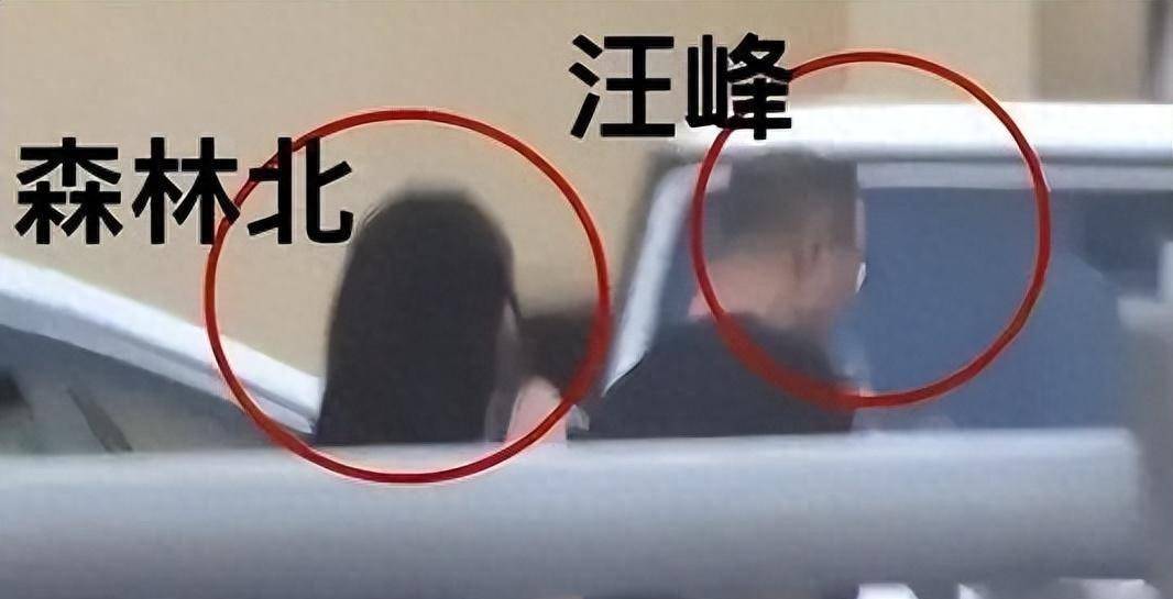 在汪峰的前四任齐丹,葛荟婕,康作如和章子怡中,每一个都不平凡,包括