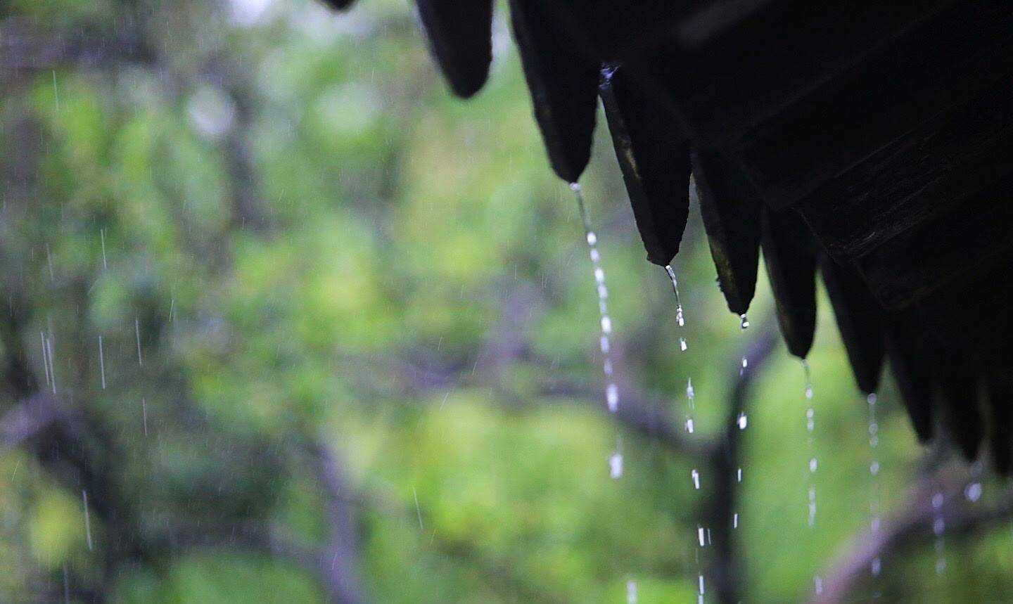 觉得细雨和自己作对