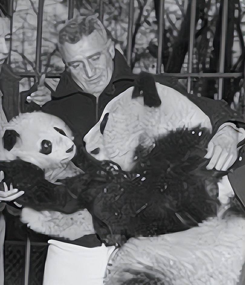 1936年,美国妇女两次偷走大熊猫,回到美国后被称为"大英雄"