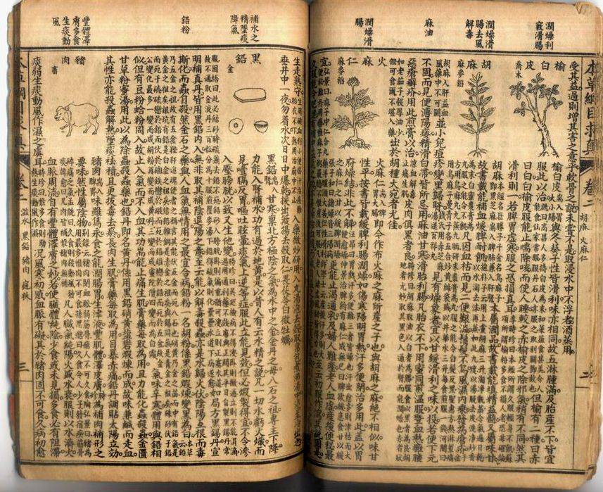 《本草求真》共10卷,载药520味,附图244幅,分上下两编.