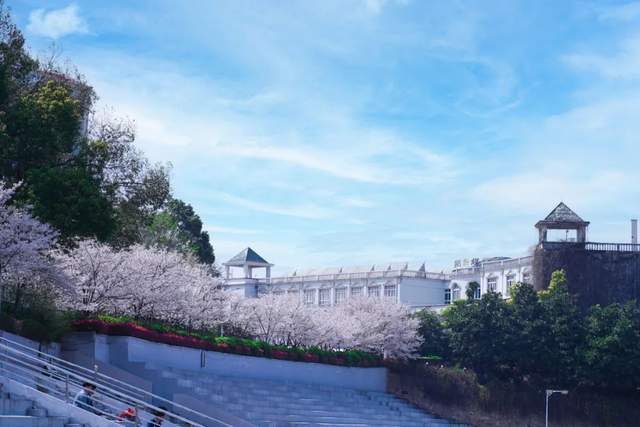 武昌理工学院"校园好春光"作品来了!