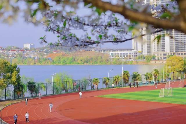 武昌理工学院"校园好春光"作品来了!