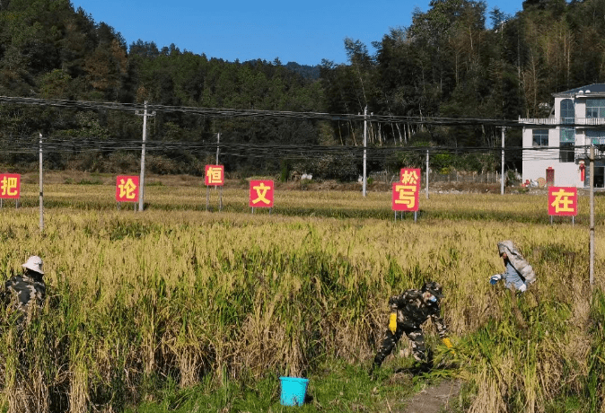 【图说】不断实现恒松人对美好生活的向往——写在
