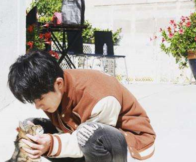 胡歌被问到希望女朋友喜欢猫吗?没想到他的回答是这样的