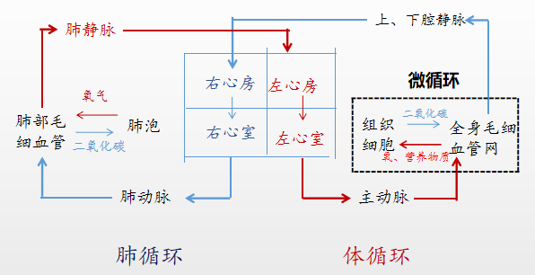 做好5件事,改善微循环,告别淤和堵!