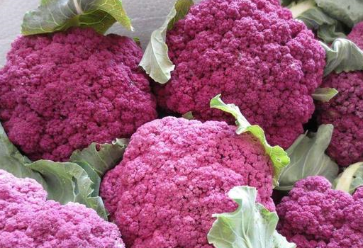 其中一种是抗癌首选蔬菜!