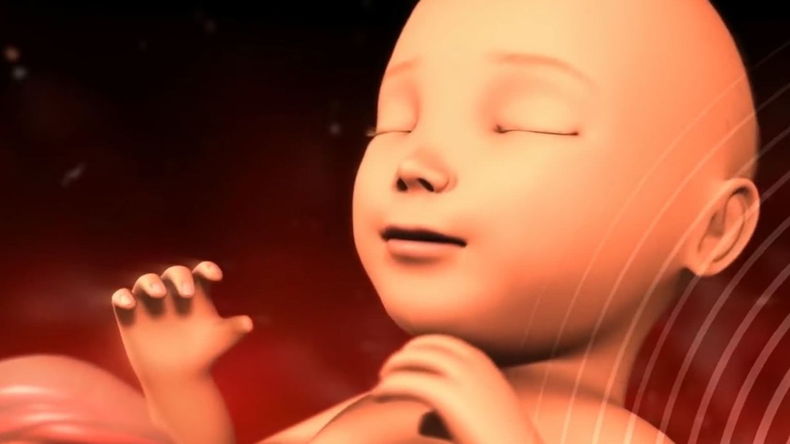 孕晚期的胎儿都特别爱动吗?答案有些意外,3点事项,准妈妈要注意