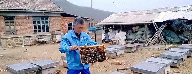 上海知青顾永才留守延边,与爱人过上田园生活,羡煞旁人