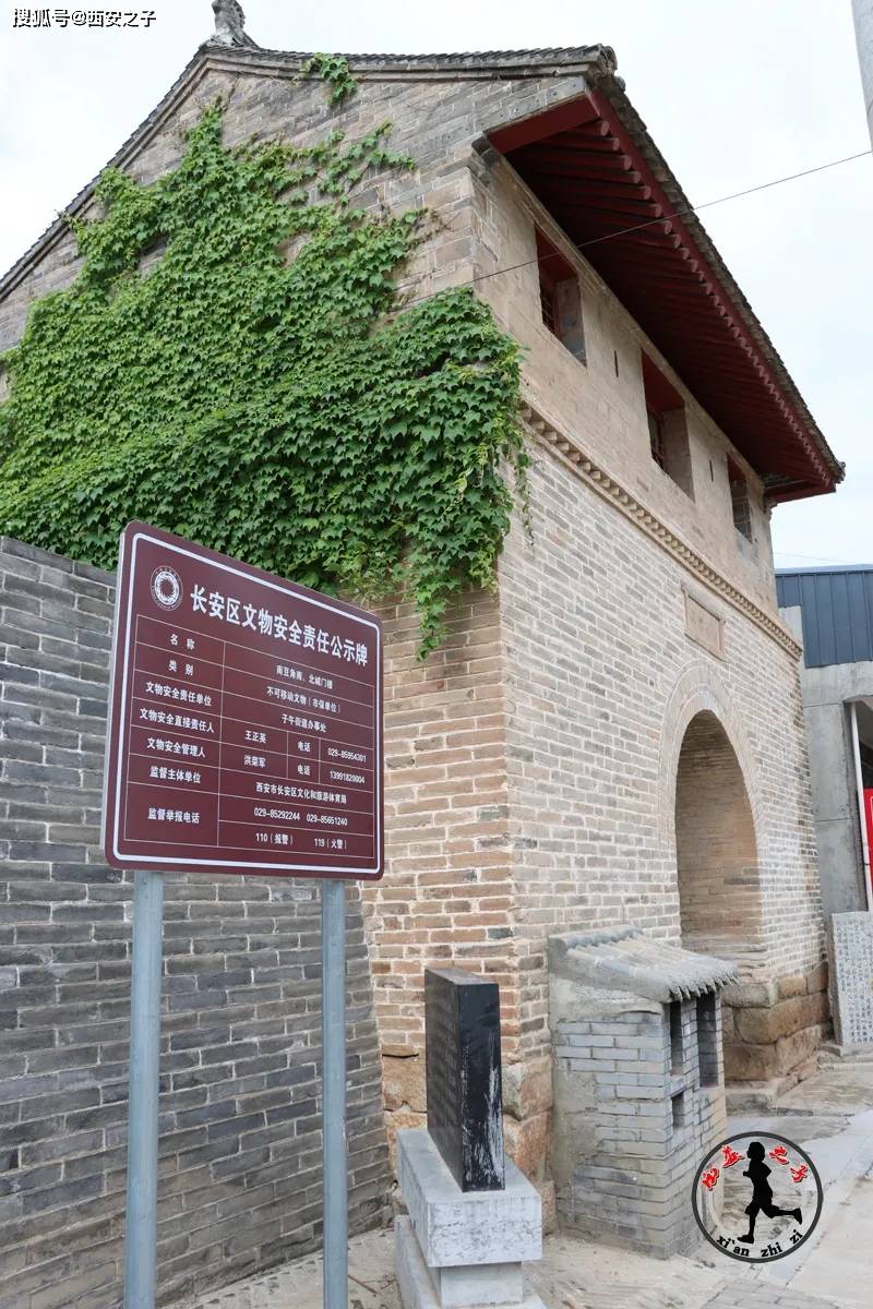 豆角村里没豆角,有老柏树,石头爷,老城门楼子_西安_文保_古柏