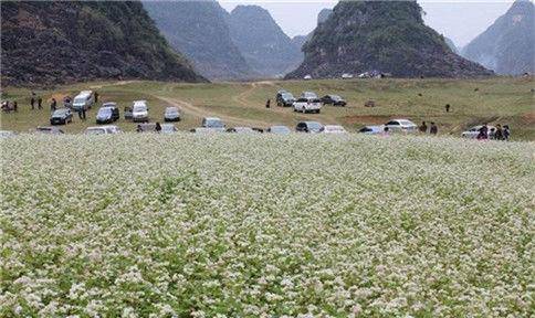广西唯一一个入选了央视春晚,不要买门票就能参观的自然风景区!