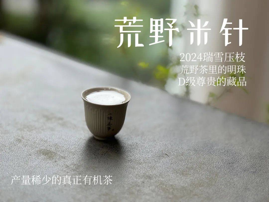 喝茶的四个阶段,每个阶段都是认知的成长,请不辜负岁月和自己!