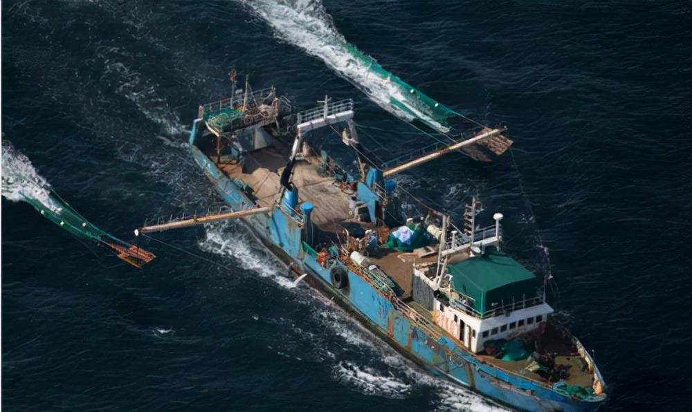 1996年一艘远洋渔船上,船员怒杀船长,引得韩国总统亲自下场辩护