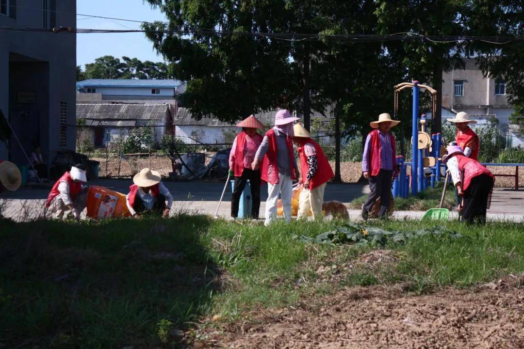 【天门市小板镇姚胡村"夏季除草护绿,共建美好姚胡"志愿服务活动