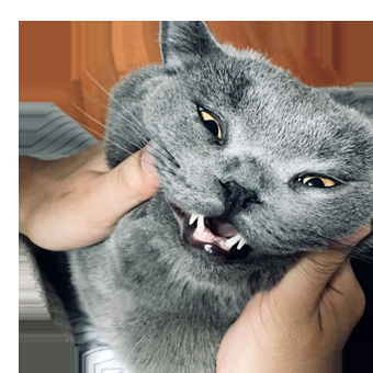 梅林_主人_样式