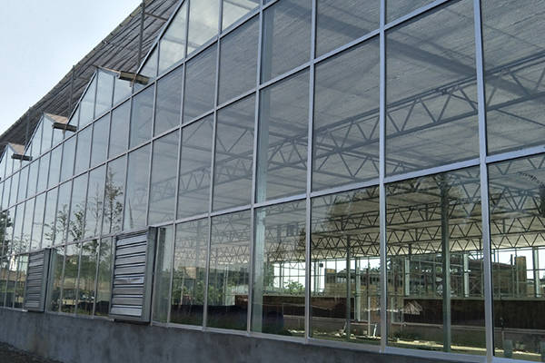 玻璃温室大棚顶部的玻璃是如何清洗的?