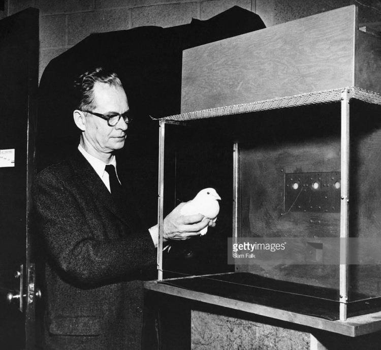 最早研究迷信这种社会行为学的是斯金纳,他在1948年,用鸽子做了个实验