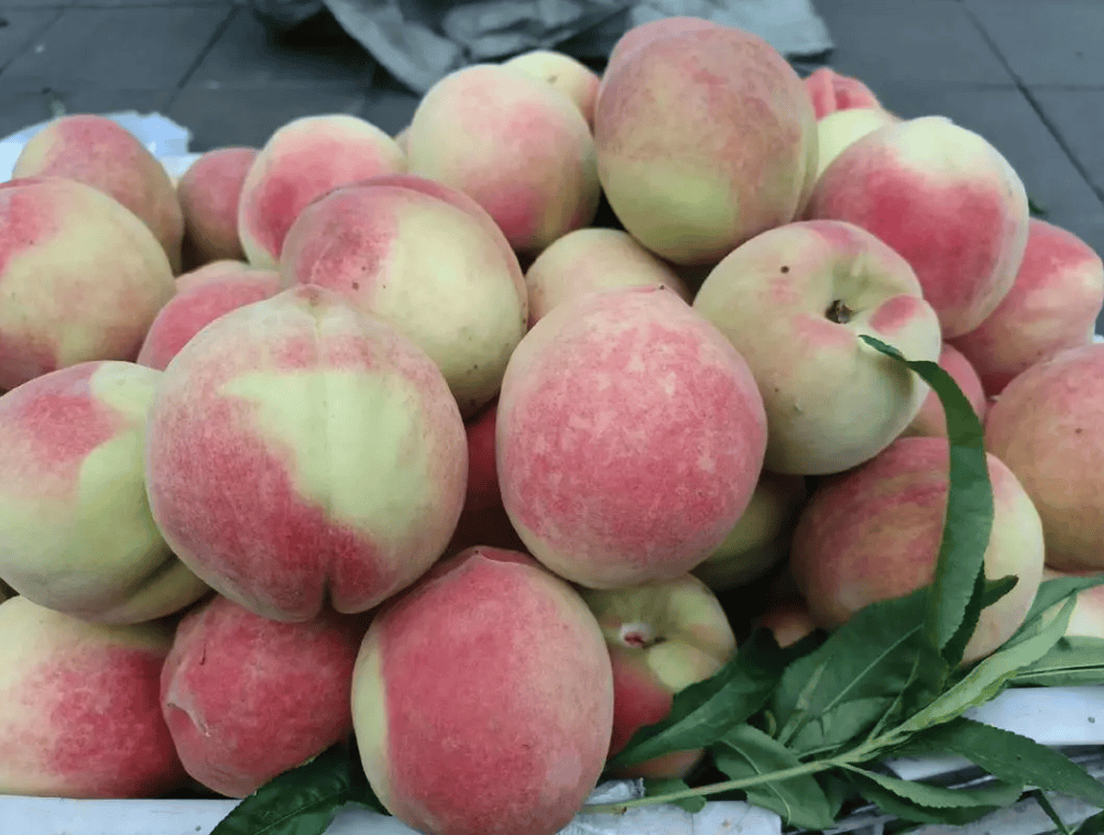 牢记这"6点",买的桃子香甜多汁_颜色_口感_绒毛
