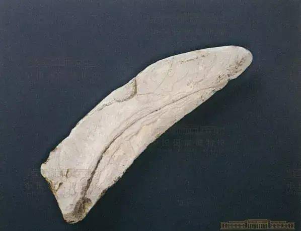 雷劈致死?史书未载的晚商政教变革真相