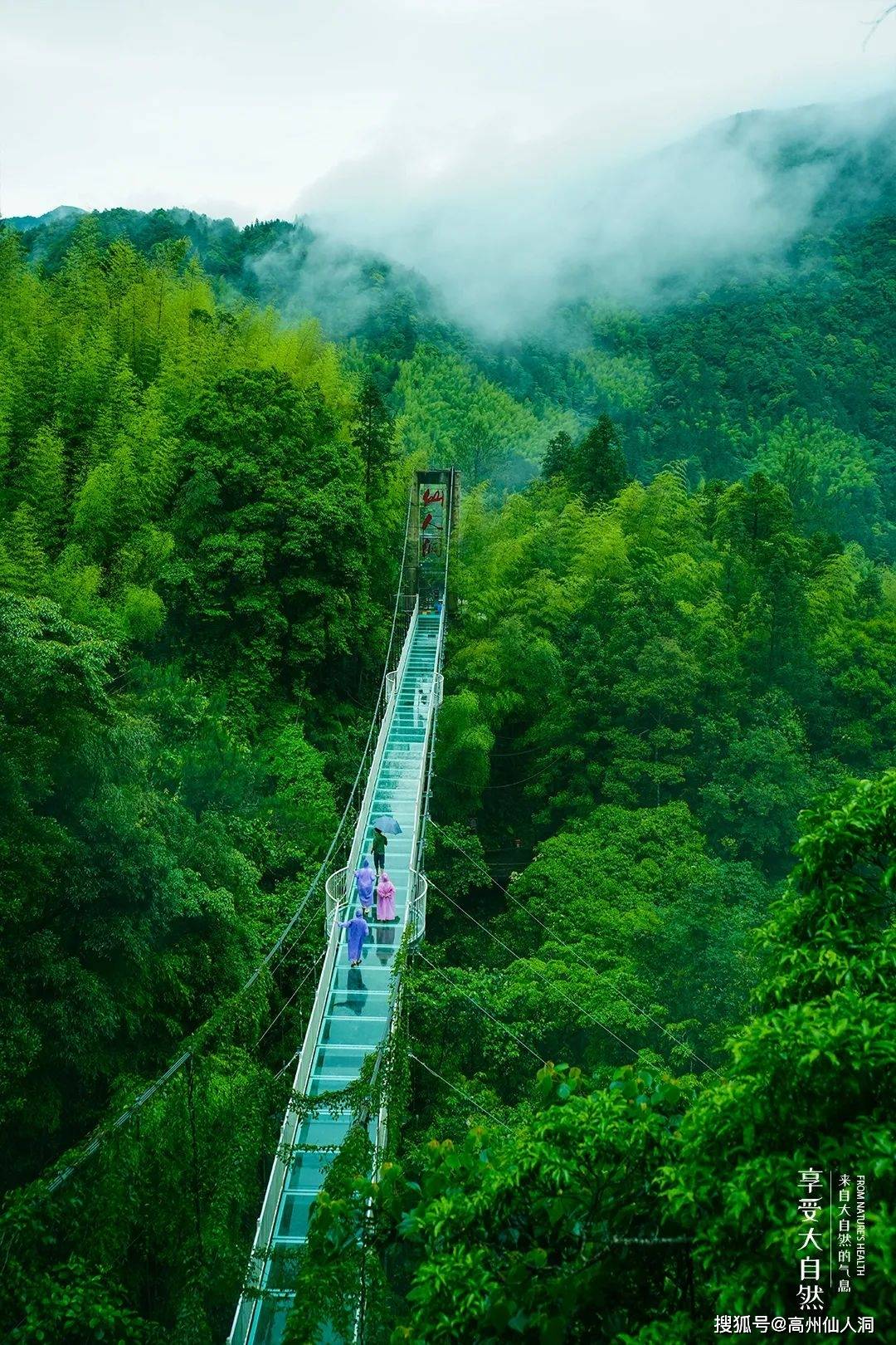 高州仙人洞山庄订房图片