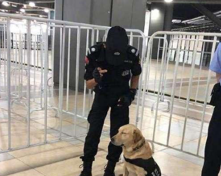 两个警察正在执勤,旁边坐了一个犯困的狗狗,小家伙太累了心疼