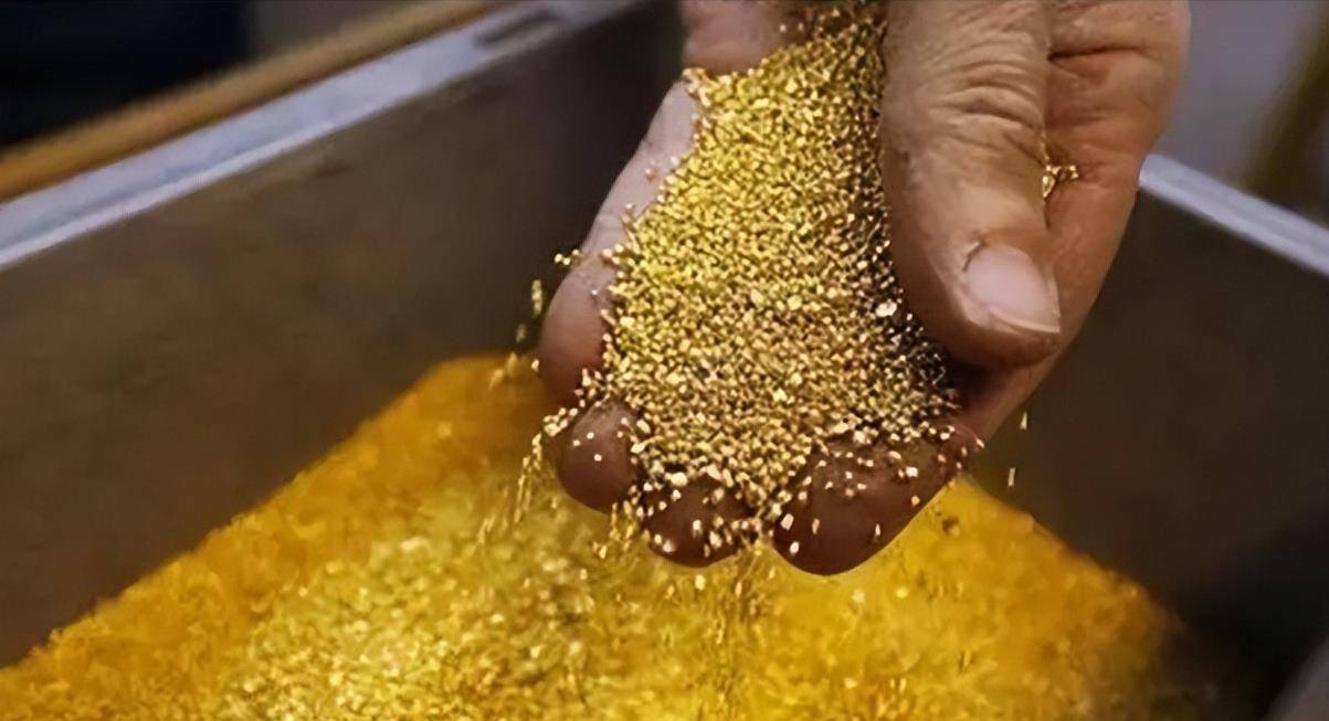 科学家从玉米中提炼出黄金?生物的富集作用,还隐藏着多少未知?