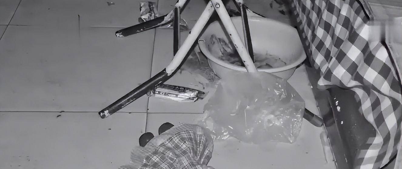 2015年,天津一家四口包馄饨,吃完三人殒命,屋顶吊扇成"帮凶"