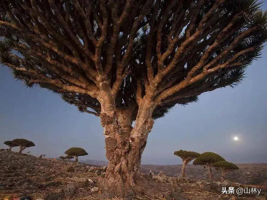 世间稀有美景,每一幅都震撼人心