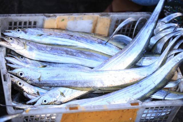 近日,我深入探访了当地的海鲜市场,与鱼贩老板深入交流,揭开了活带鱼