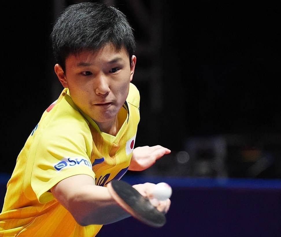 恭喜!樊振东3-1战胜张本智和,锁定一个重庆冠军赛男单四强名额