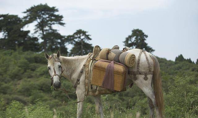 1997年白龙马惨死山洞,杨洁泪崩,尸骨无存背后是人性的丑恶