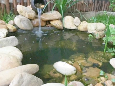 diy自建一个"鱼池"全过程记录,分享给有同样想法的你!