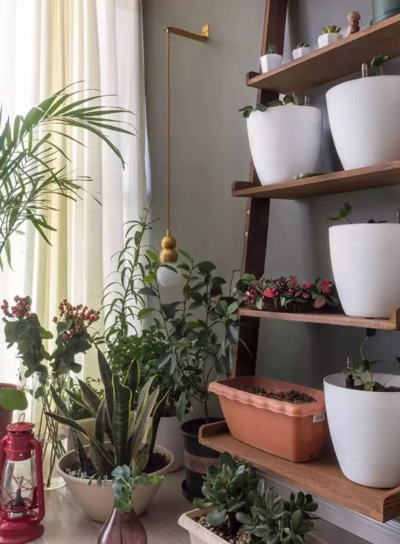 阳台,别光知道晾衣服,打造一个花园阳台,清新漂亮,惬意极了!