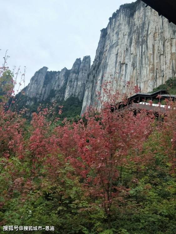 恩施旅游大峡谷狮子关5天780左右费用包含哪些,这篇攻略干货满满