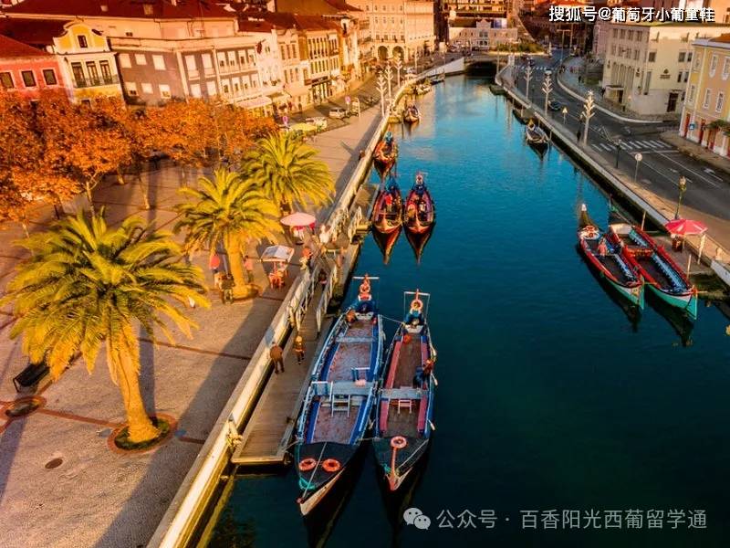 【城市介绍】葡萄牙的"威尼斯"--阿威罗美食/景点/大学/城市介绍请