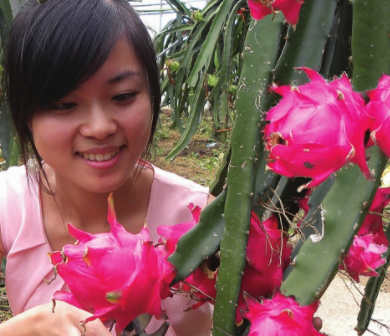 吃了30年火龙果,才知道"红心"和"白心"的区别!你了解吗?