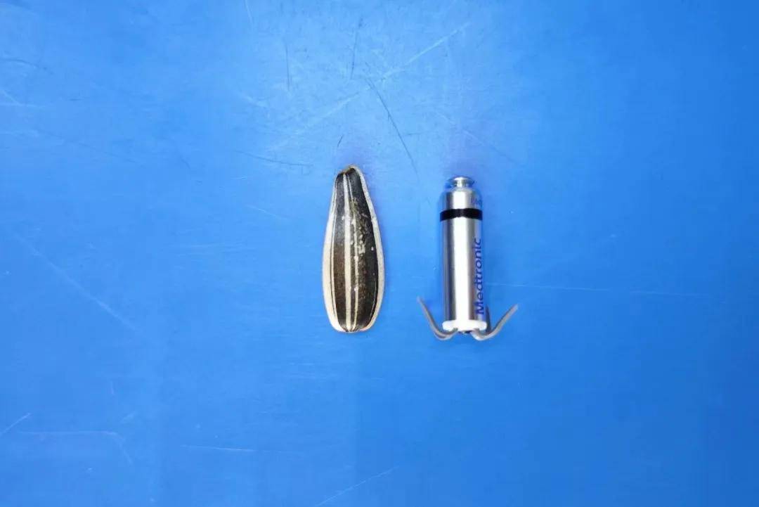 小"胶囊"强动力!我院心血管内科成功实施首例无导线起搏器植入手术